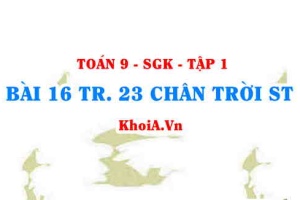 Bài 16 trang 23 Toán 9 Chân trời sáng tạo Tập 1
